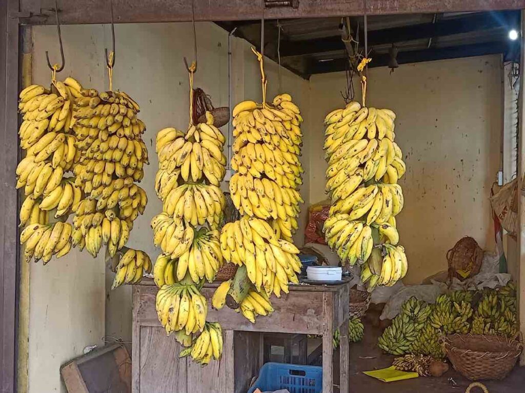 Banana selling shop in Perdoor Ananta Padmanabha Swamy Temple