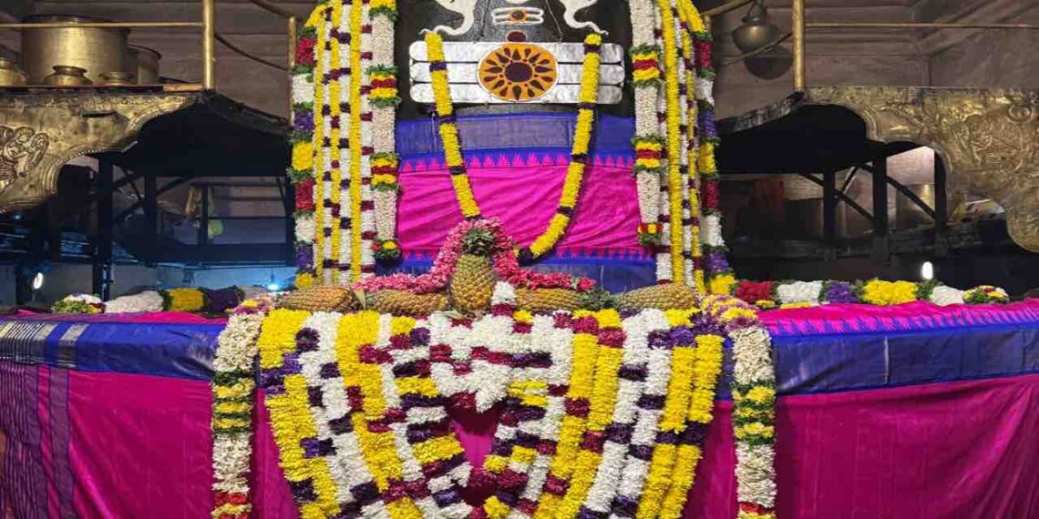 Close-up of the massive Shiva Lingam at Thanjavur Brihadeeswara Temple, decorated with colorful flower garlands, draped in pink and blue silk cloth, with a golden five-headed serpent (Naga) hood above it.